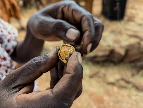과일 위탁판매 노하우 - A person inspecting fruits in a warehouse