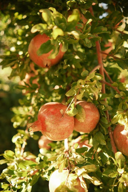Slices of grilled pineapple on a rustic wooden plate, with honey drizzle