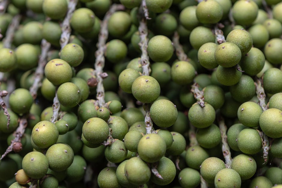 Close-up of a person cautiously tasting a piece of pineapple