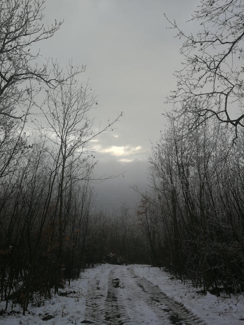 Pineapple slices in a clear container, placed in the middle shelf of a fridge